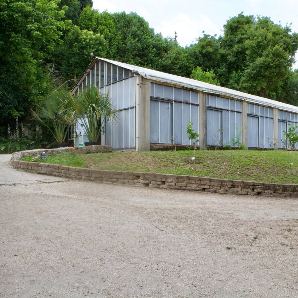 Lo spazio dove nascerà la Serra della Biodiversità Tropicale dell'Orto Botanico di Roma
