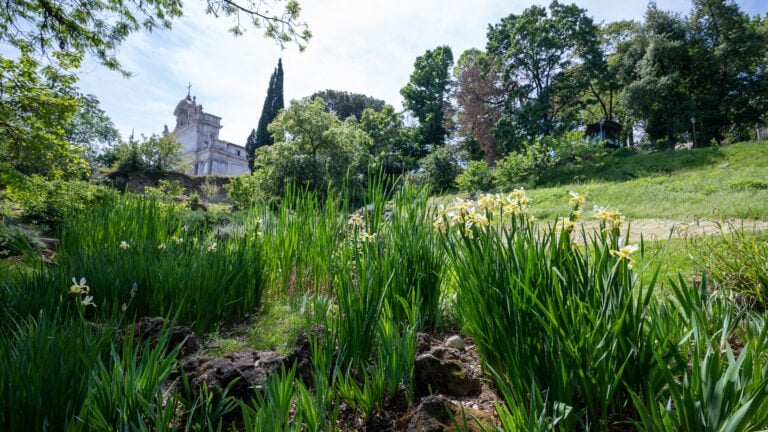 All’Orto Botanico di Roma nasce una serra per studiare come le piante tropicali mitigano l’inquinamento