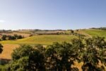 Mancini Pastificio Agricolo, Stefano Boeri Architetti