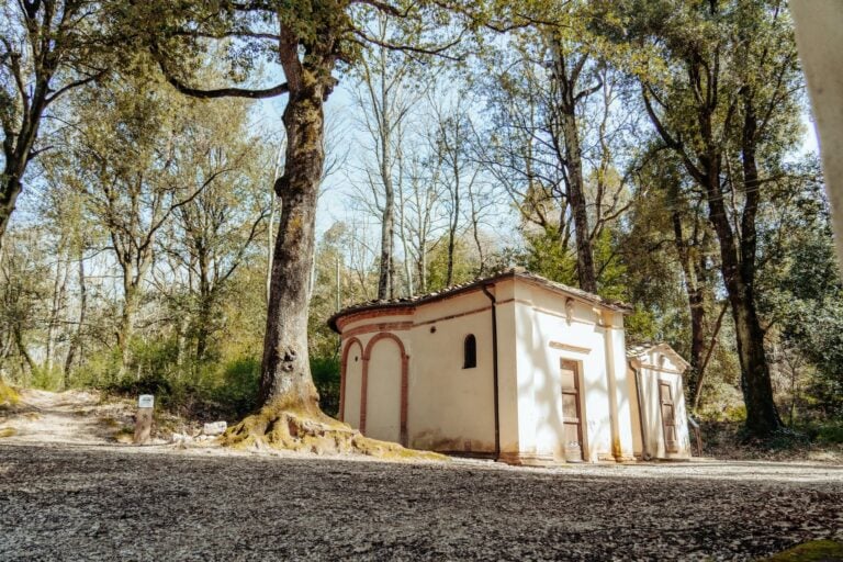 Nel bosco della Gerusalemme di Toscana