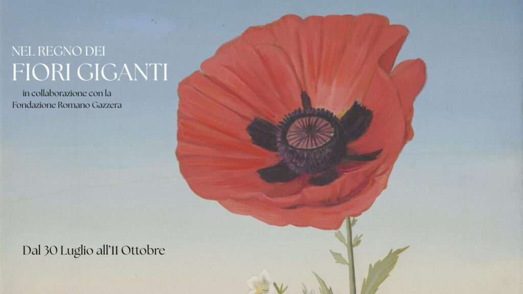 Romano Gazzera – Nel regno dei fiori giganti