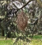 Parco dell'Arte all'Idroscalo di Milano