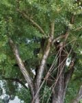 Parco dell'Arte all'Idroscalo di Milano