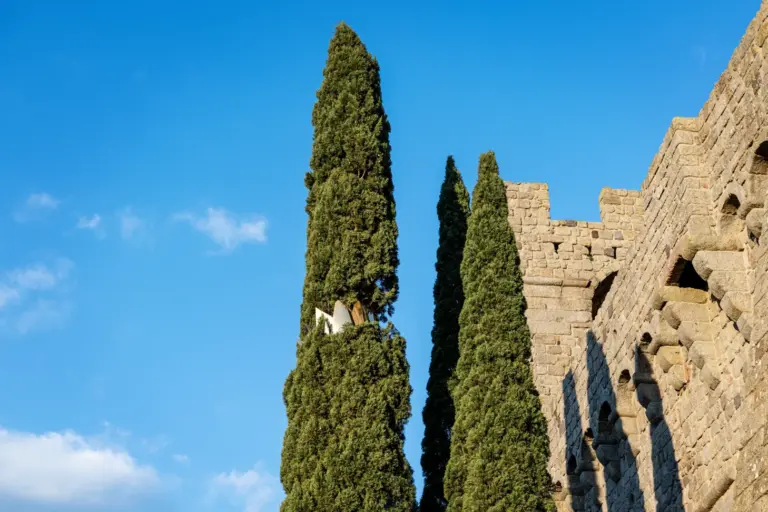 Osservatorio: mormorii, Rocca Aldobrandesca, Piancastagnaio