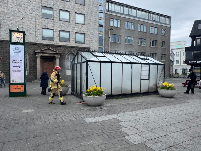 Una serra olfattiva il giorno dopo l'inaugurazione del Reykjav&iacute;k Arts Festival