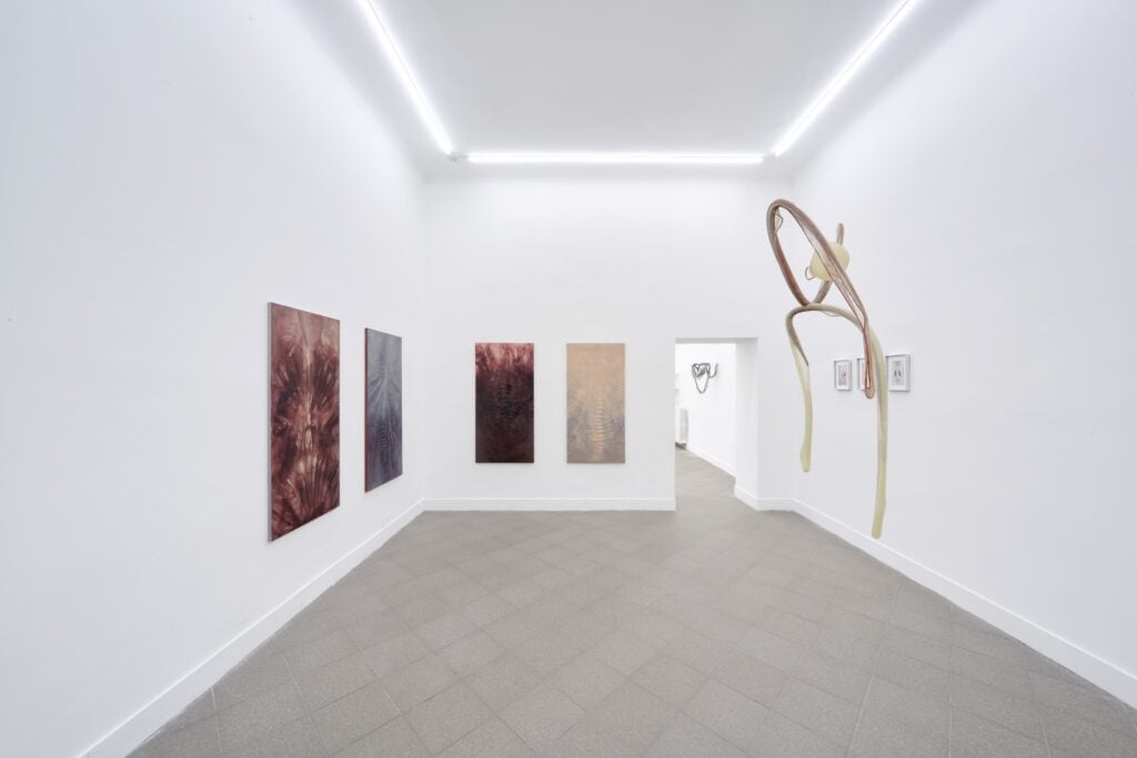 Siphonophores. Ludovica Anversa e Manuel Cornelius, Installation View Anni Wu Gallery, Milano