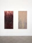 Siphonophores. Ludovica Anversa e Manuel Cornelius, Installation View Anni Wu Gallery, Milano