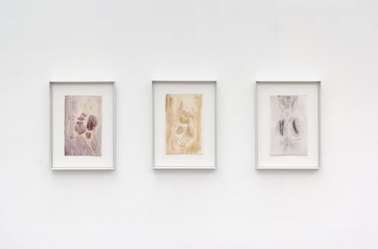 Siphonophores. Ludovica Anversa e Manuel Cornelius, Installation View Anni Wu Gallery, Milano