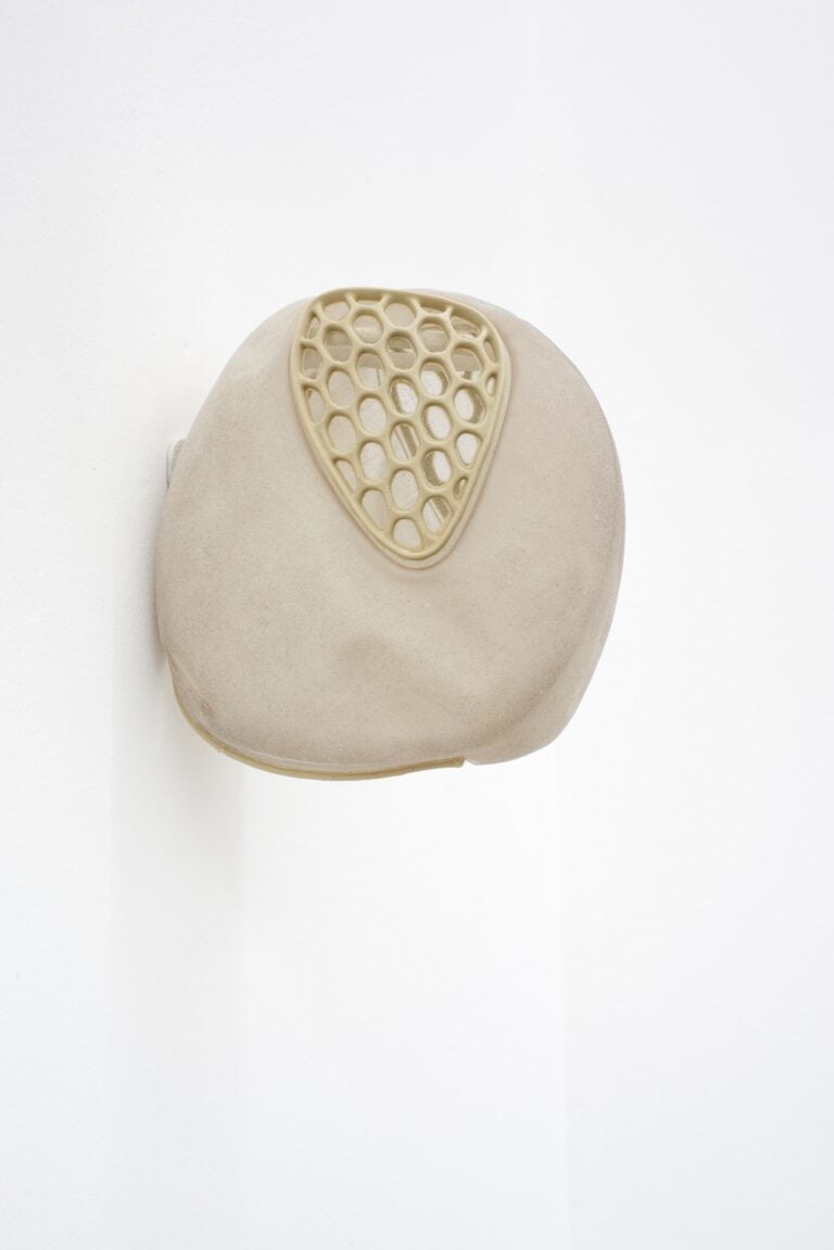 Siphonophores. Ludovica Anversa e Manuel Cornelius, Installation View Anni Wu Gallery, Milano