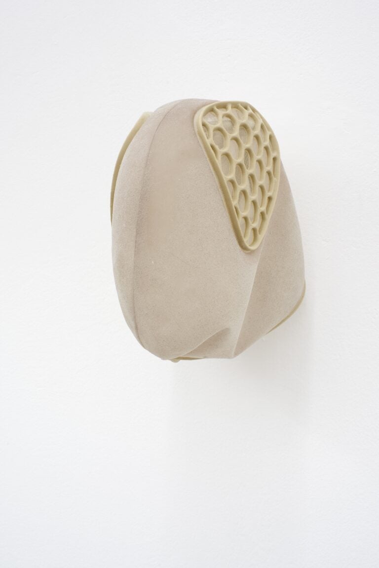 Siphonophores. Ludovica Anversa e Manuel Cornelius, Installation View Anni Wu Gallery, Milano