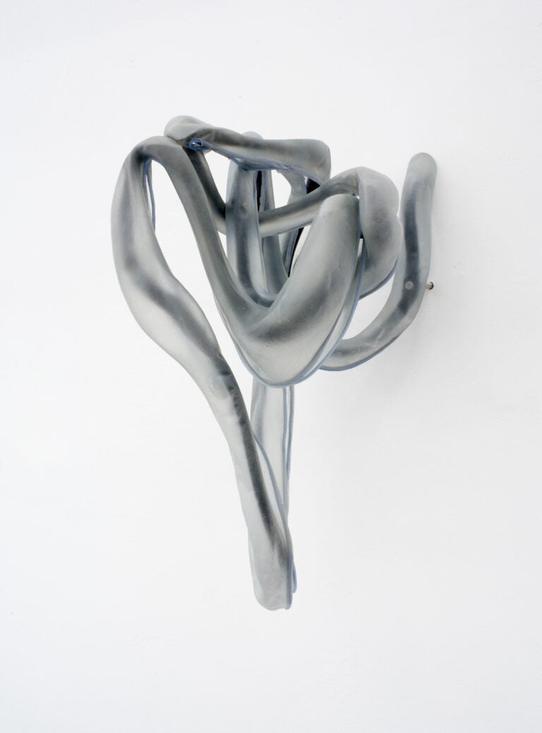 Siphonophores. Ludovica Anversa e Manuel Cornelius, Installation View Anni Wu Gallery, Milano