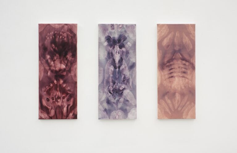 Siphonophores. Ludovica Anversa e Manuel Cornelius, Installation View Anni Wu Gallery, Milano