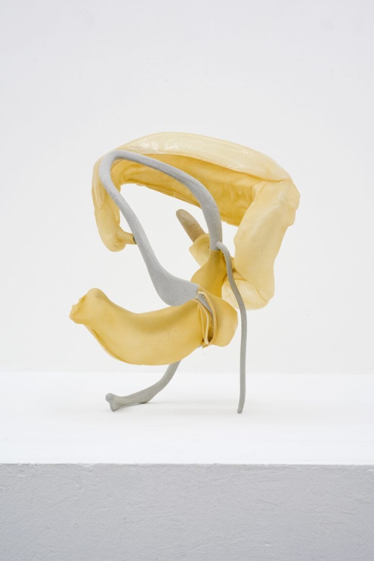 Siphonophores. Ludovica Anversa e Manuel Cornelius, Installation View Anni Wu Gallery, Milano