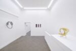 Siphonophores. Ludovica Anversa e Manuel Cornelius, Installation View Anni Wu Gallery, Milano
