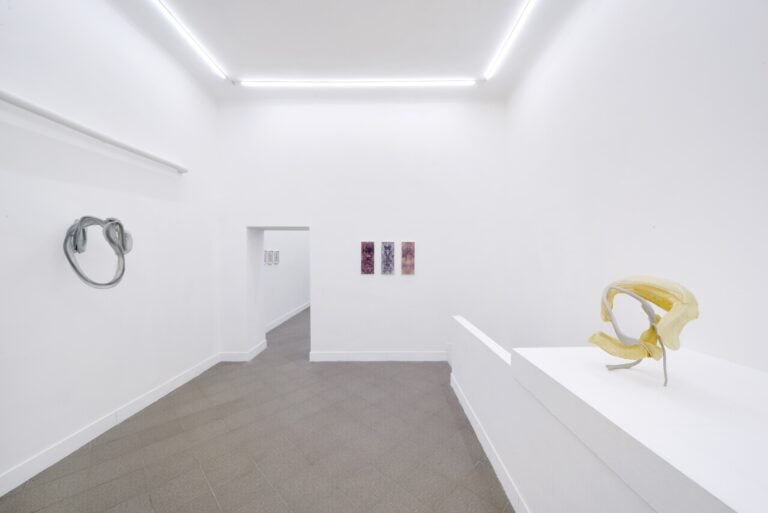 Siphonophores. Ludovica Anversa e Manuel Cornelius, Installation View Anni Wu Gallery, Milano