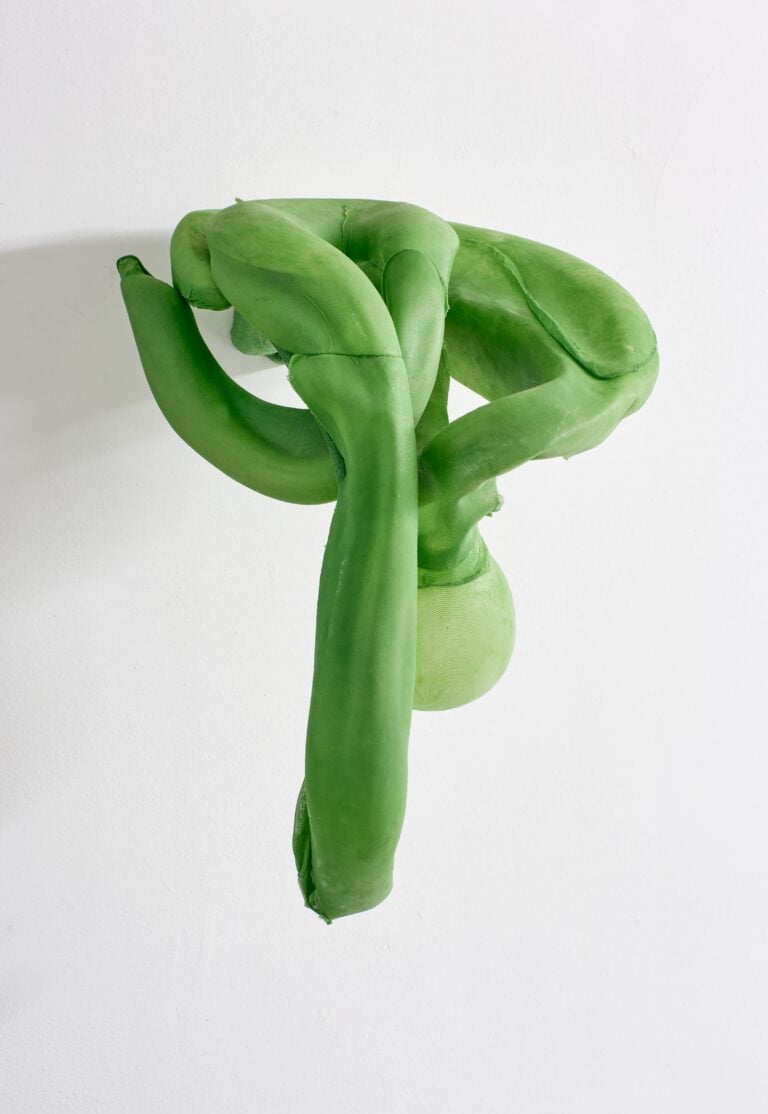 Siphonophores. Ludovica Anversa e Manuel Cornelius, Installation View Anni Wu Gallery, Milano