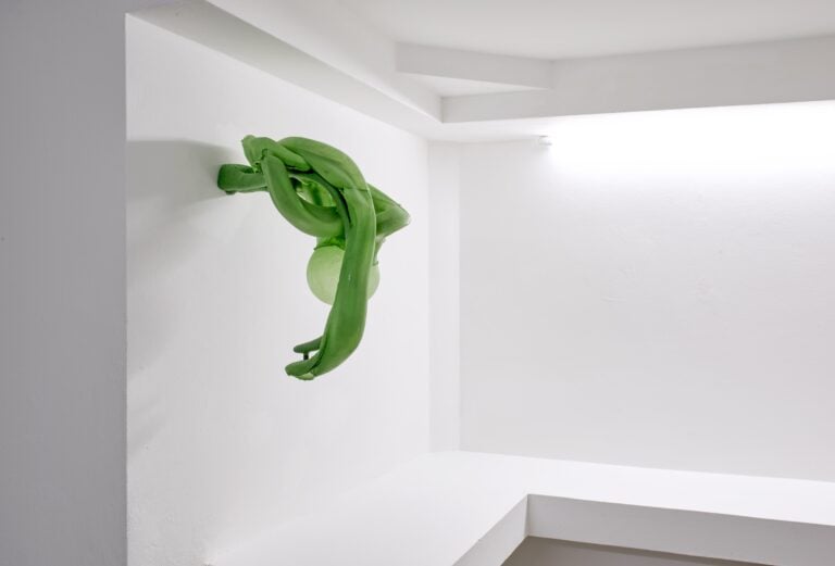 Siphonophores. Ludovica Anversa e Manuel Cornelius, Installation View Anni Wu Gallery, Milano