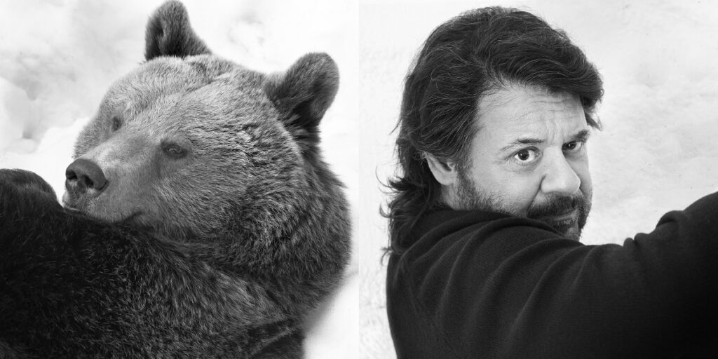 Il Panda siamo noi