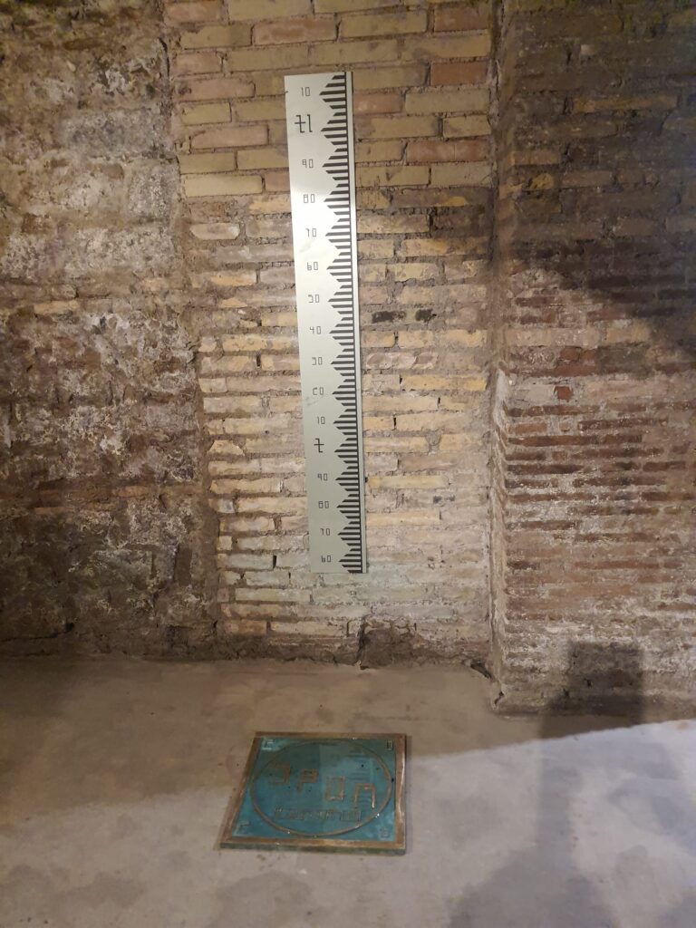 Installation view della mostra