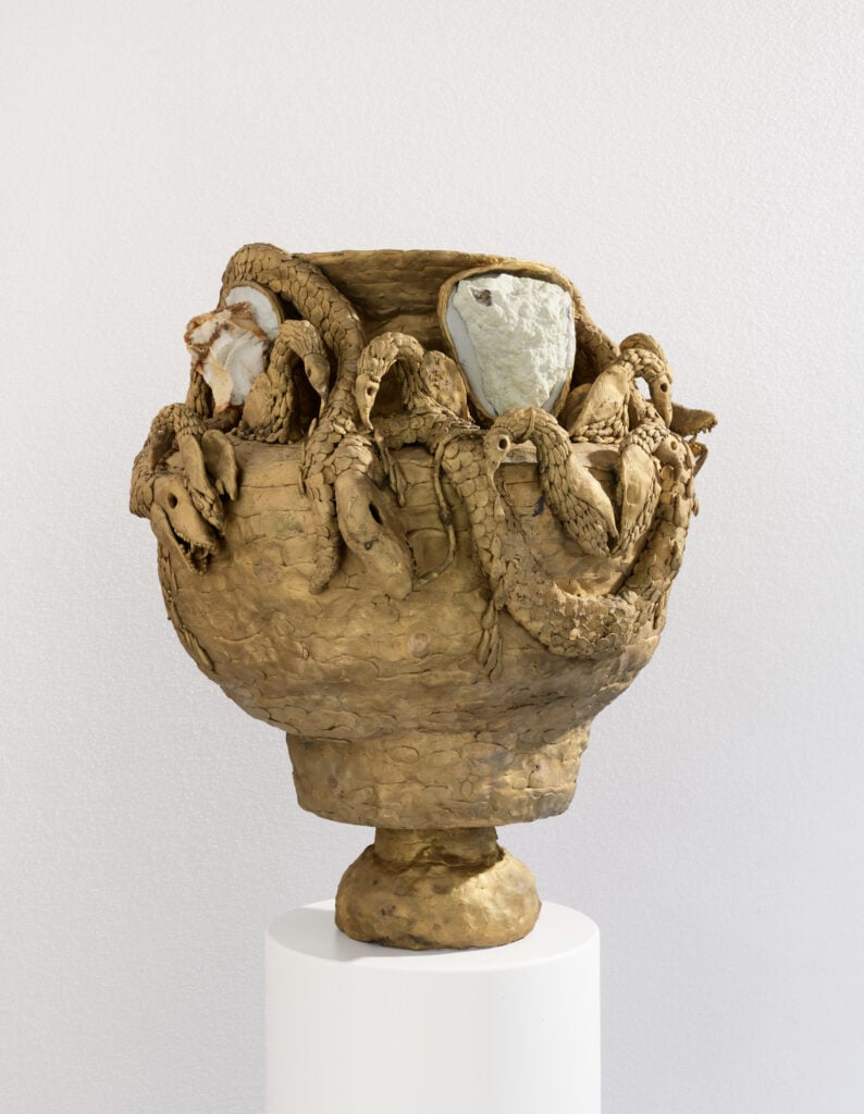 Doppia mostra a Bologna per fare entrare un artista contemporaneo nella vita di Giorgio Morandi