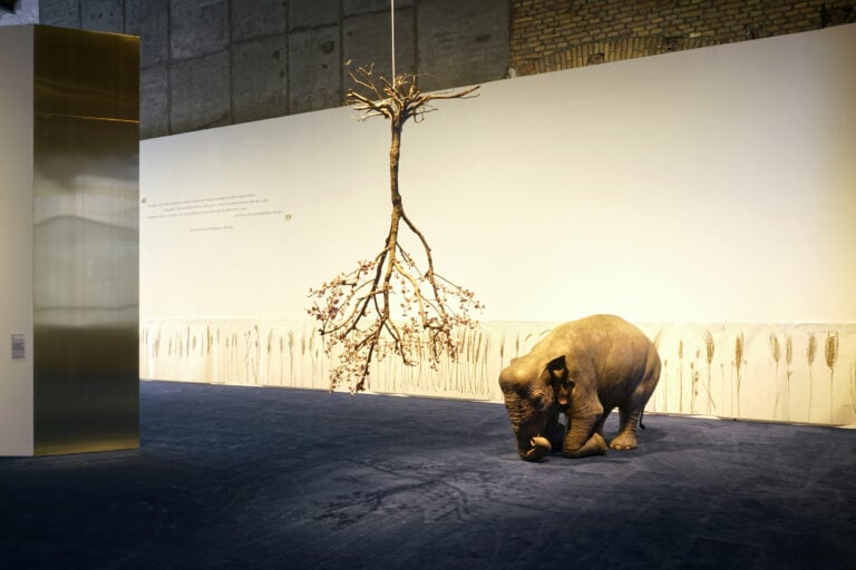 &ldquo;Creature, Creatori. San Francesco e l&rsquo;arte contemporanea&rdquo;, a cura di Beatrice Buscaroli, MAXXI Roma, &copy; Luis do Rosario, courtesy Fondazione MAXXI