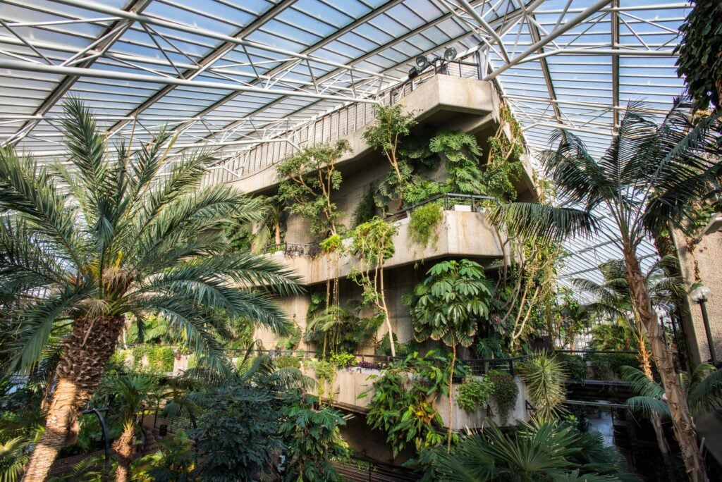 Barbican Conservatory © Max Colson