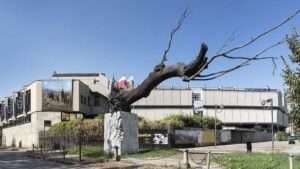 Lavorare nell’arte e nella cultura: opportunità da GAM Torino, Qatar Museums, Sugar e IED, Cittadellarte, ECC Italy