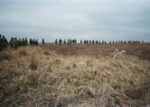 Frontline Rolls, 2025. Foto di Danylo &laquo;DOC&raquo;