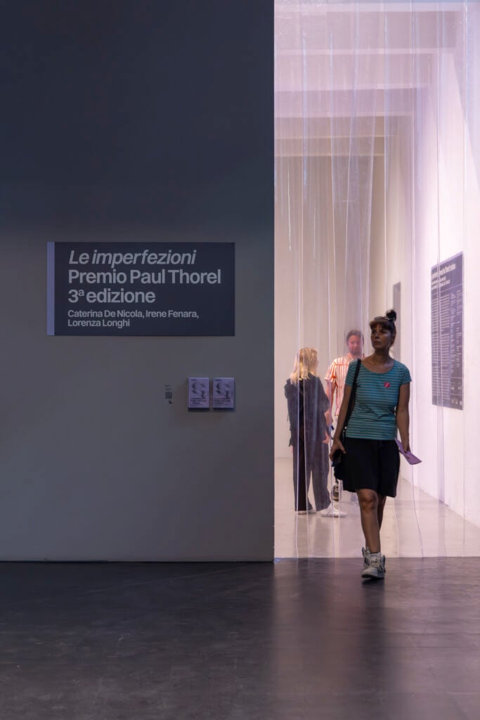 Le imperfezioni, Premio Paul Thorel III edizione, intervista a Sara Dolfi Agostini, la curatrice, installation view