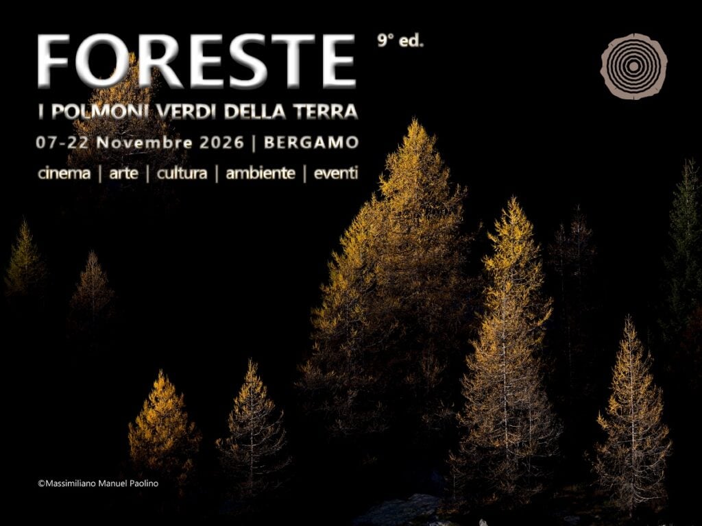 Forest Film Festival