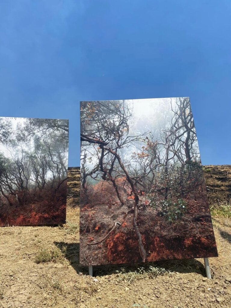 Gli incendi in Sicilia minacciano l'installazione fotografica sugli incendi in Sicilia. Tutta la storia