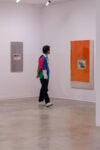 Le imperfezioni, Premio Paul Thorel III edizione, intervista a Sara Dolfi Agostini, la curatrice, installation view