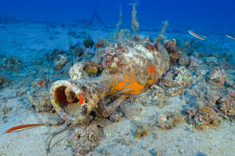 Archeologia Elba 2026