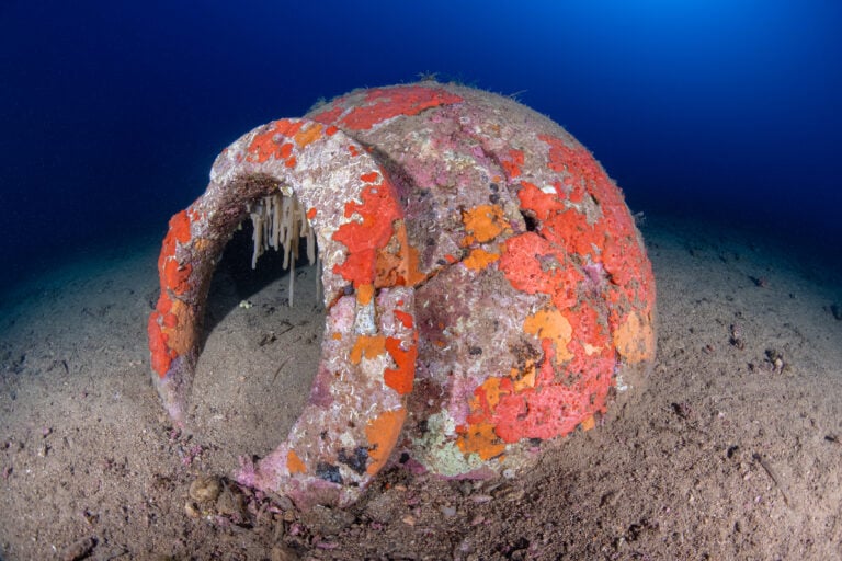 Archeologia Elba 2026