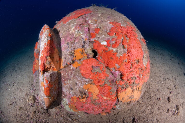Archeologia Elba 2026