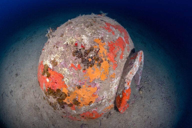 Archeologia Elba 2026