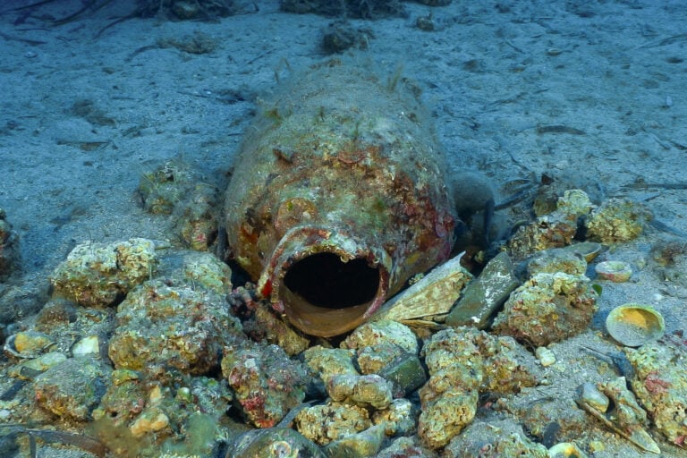 Archeologia Elba 2026