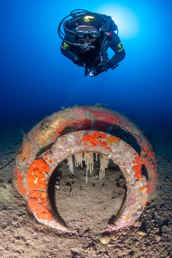 Archeologia Elba 2026