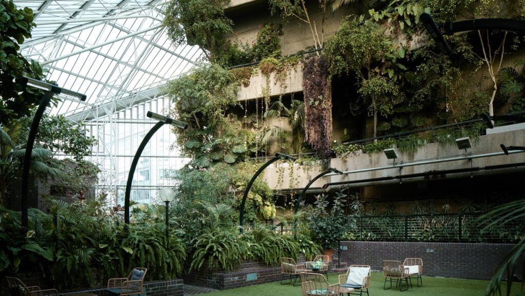 Il Barbican Conservatory di Londra sarà restaurato e regala le talee della sua serra