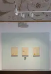 Bongsu Park - Fiori della Memoria - Museum MARV Gradara