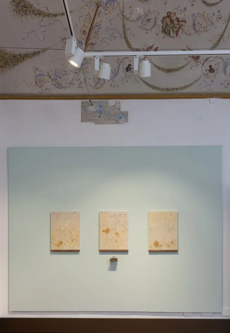 Bongsu Park - Fiori della Memoria - Museum MARV Gradara