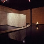 In Brasile nel 2027 aprirà un polo culturale dedicato all’arte contemporanea e alla natura. La storia 