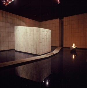 In Brasile nel 2027 aprirà un polo culturale dedicato all’arte contemporanea e alla natura. La storia 