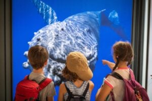 Estate al museo per i più piccoli. I campus tra cultura e divertimento aspettando che ricominci la scuola