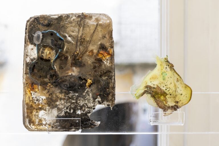 Living Collapse, a cura di Samuele Piazza. Installation view, Fondazione Donnaregina per le arti contemporanee &ndash; museo Madre, Napoli. Ph: Amedeo Benestante