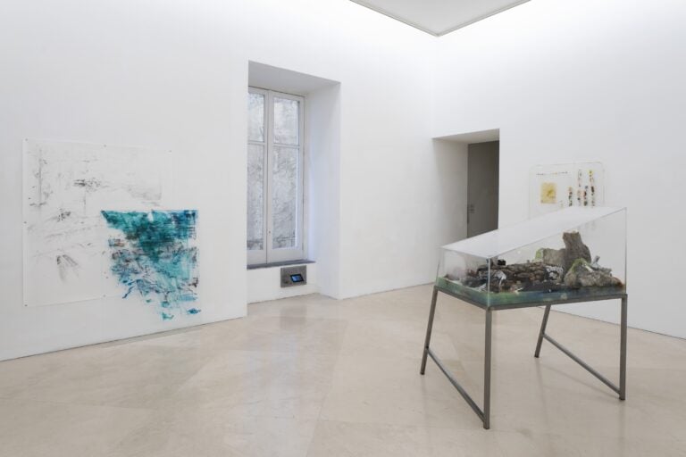 Living Collapse, a cura di Samuele Piazza. Installation view, Fondazione Donnaregina per le arti contemporanee &ndash; museo Madre, Napoli. Ph: Amedeo Benestante