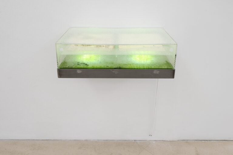 Living Collapse, a cura di Samuele Piazza. Installation view, Fondazione Donnaregina per le arti contemporanee &ndash; museo Madre, Napoli. Ph: Amedeo Benestante