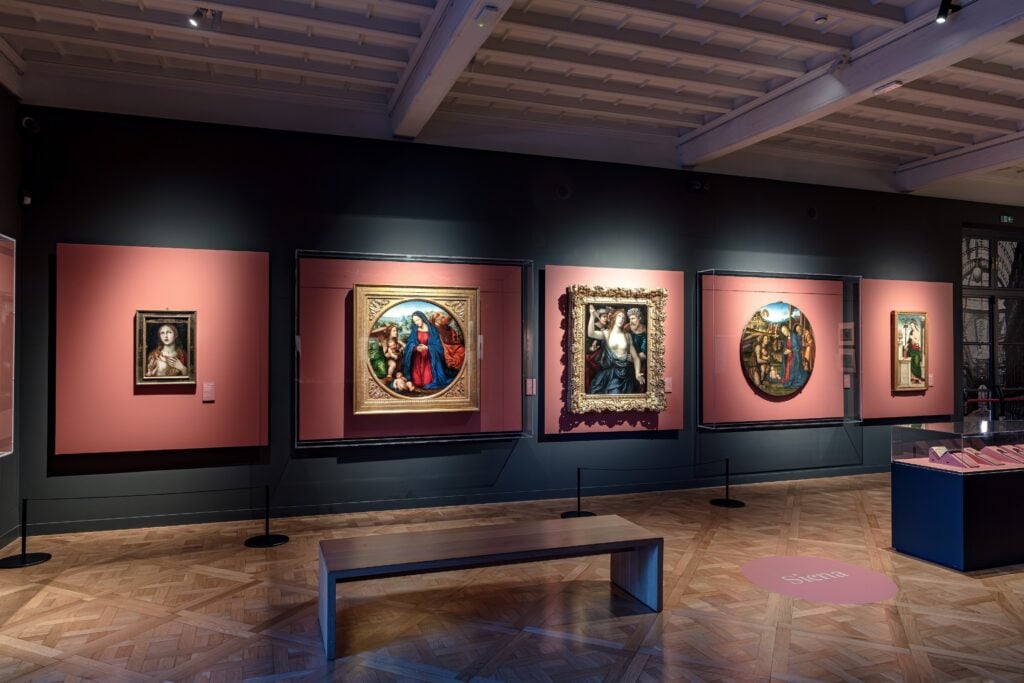 Giovanni Antonio Bazzi detto il Sodoma. Alla conquista del Rinascimento, installation view, Museo Accorsi-Ometto, Torino, 2026