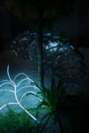 Giulia Poppi, Boccacce, installation view, 2026. Ph. Alessio Beato