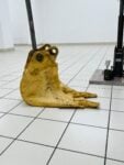 I Fumi della fornace a Montecassiano. Il percorso espositivo Rosa Orso